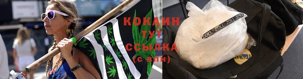 2c-b Пестово