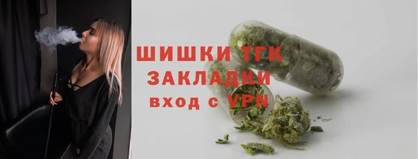 2c-b Пестово
