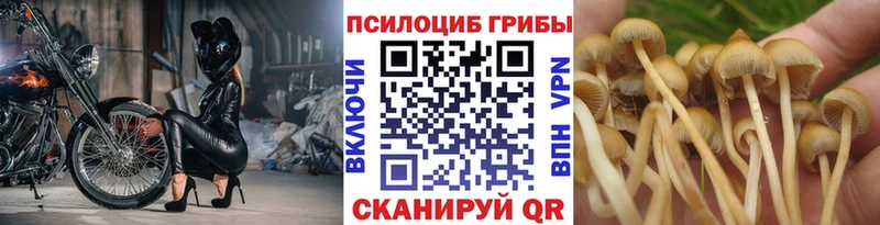 ссылка на мегу как зайти  Барыш  Галлюциногенные грибы GOLDEN TEACHER 